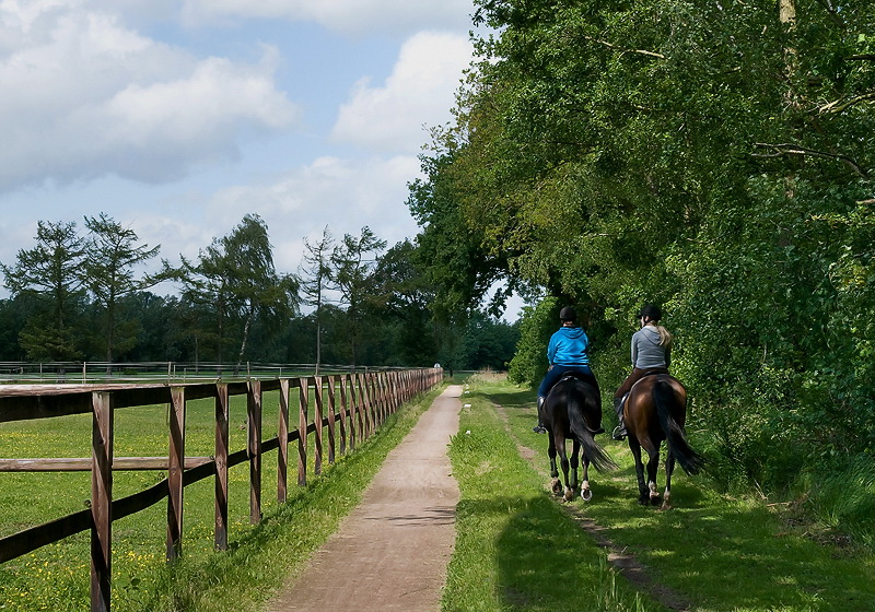 Winterswijk D35_8280 als Smart-Objekt-1 Kopie.jpg - Viele Reiter sind in der Gegend unterwegs